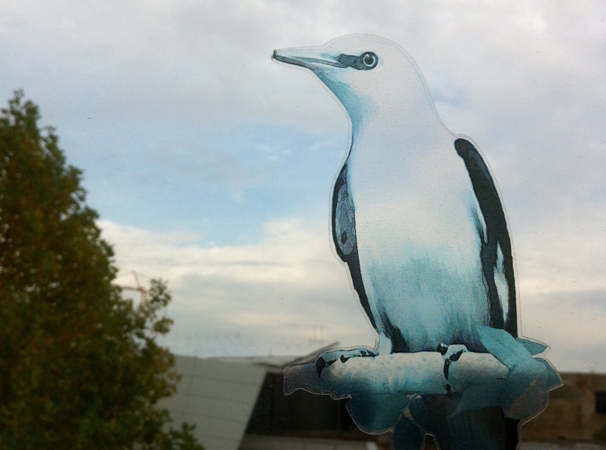 The Bird House